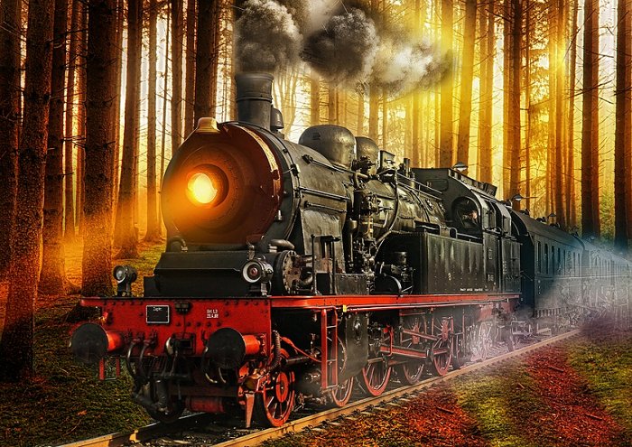 Steam Train In The Forest Train Forest Nature Travel Transport Wood